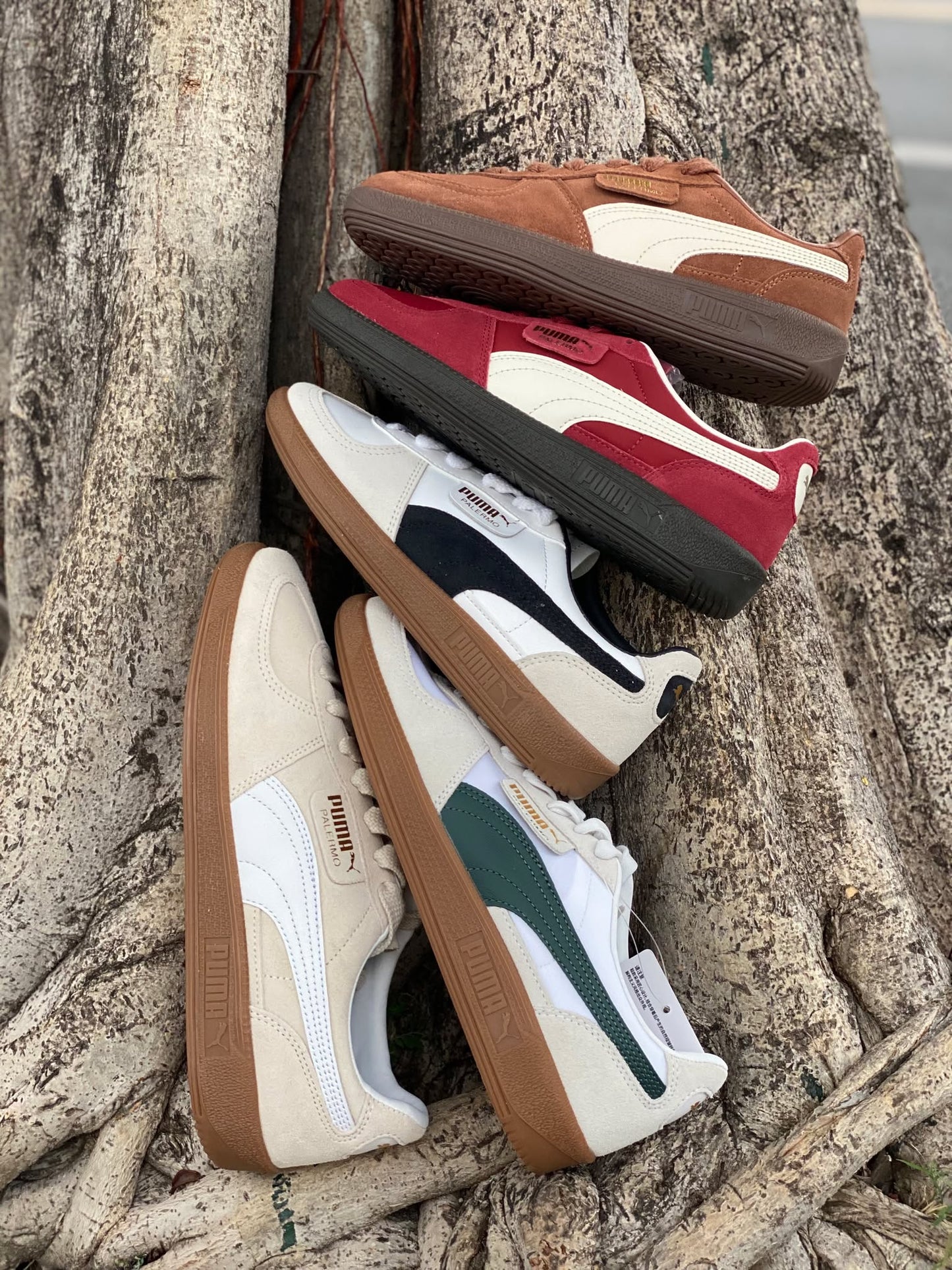 Puma Palermo OG 'Intense Red'