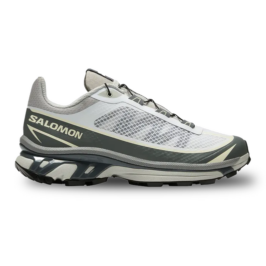 Salomon XT-6 Low-top 'Roland Grey'