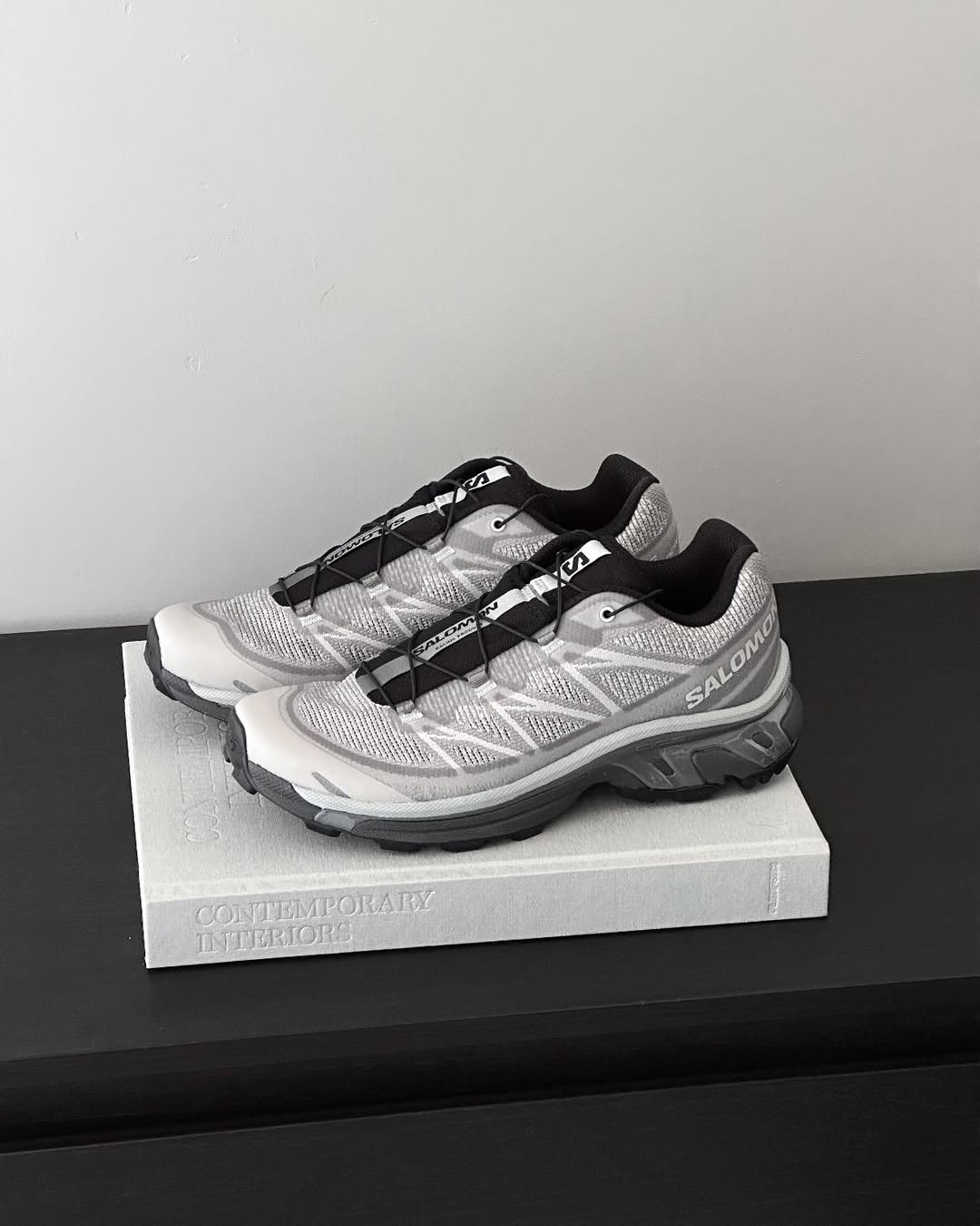 Salomon XT-6 SHADOW 'Gull Quarry'